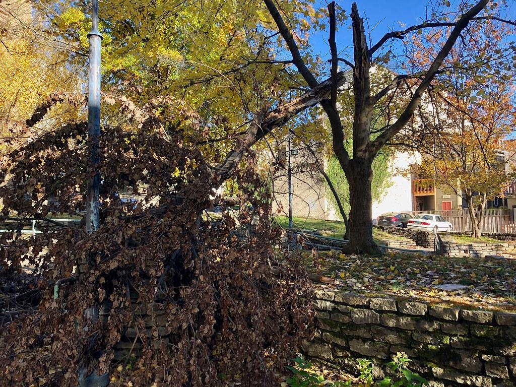 Voices from Cincinnati’s Community Reflect on Local Challenges and Developments